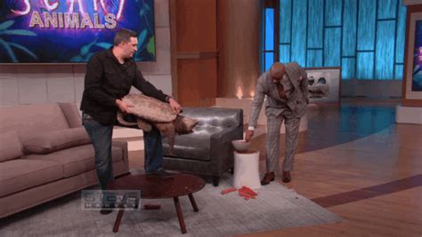 Scared  By Steve Harvey Tv Find And Share On Giphy