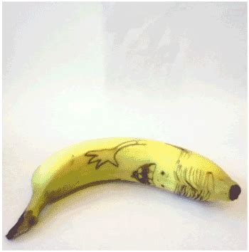 Banana Gif Primogif