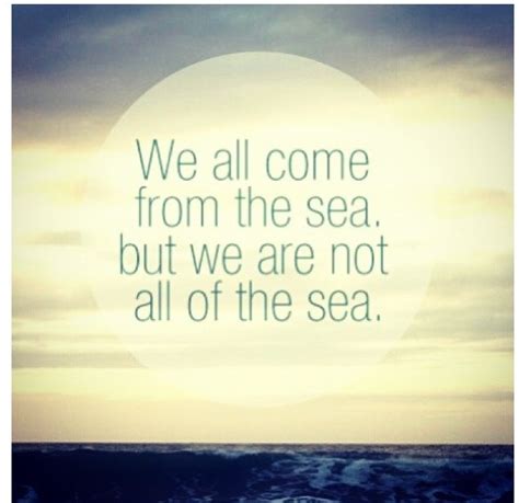 See more ideas about jay moriarity, chasing mavericks, surfing. Chasing mavericks :) this is my quote and all of the others that are of the seas quote live like ...