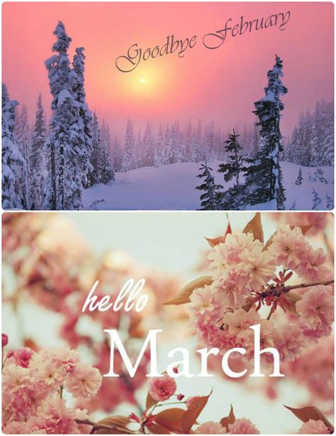 Goodbye February Hello March | Hello march, Hello march 
