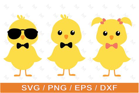 Baby Chick Easter Svg Chick Sunglasses Graphic By Design Studio