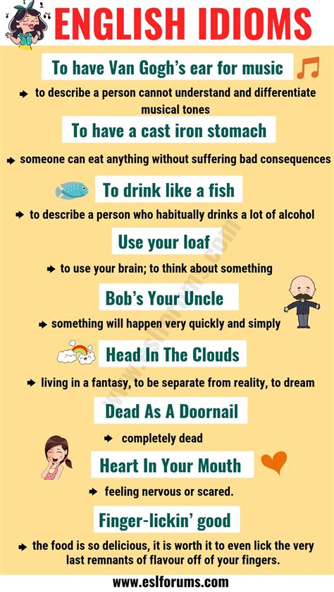 Top 20 Funny Idioms In English You Might Not Know Esl Forums English Phrases Learn English