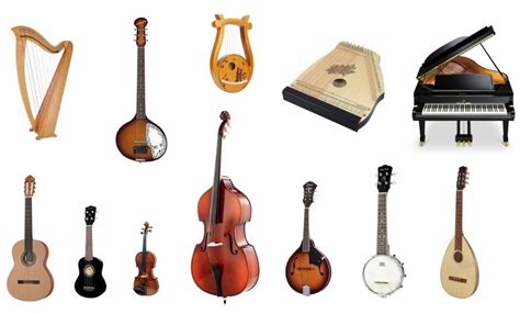 Tipos De Instrumentos De Corda