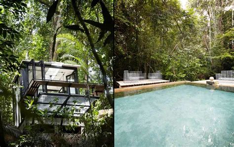 Serene and tranquil within driving distance from kl. Rumah kaca di dalam hutan | 8 Lokasi Bercuti di Malaysia ...