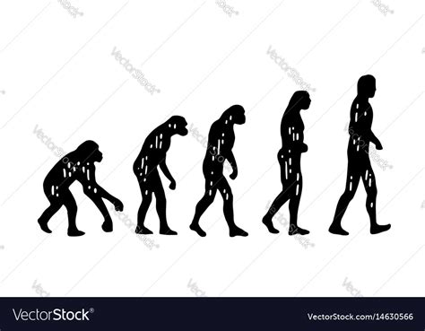 Theory Evolution Man From Monkey To Man Royalty Free Vector