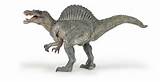 Photos of Dinosaur Fossil Models
