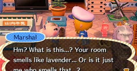 Why Marshal Is My Favorite Townie Album On Imgur