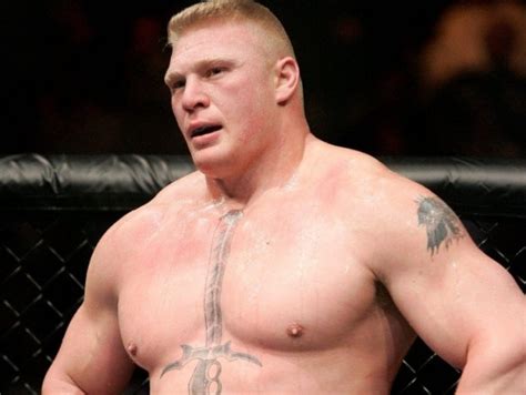 All Super Stars Brock Lesnar Wwe Wrestler Pictures And Wallpapers