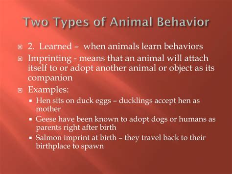 Ppt Animal Behavior Powerpoint Presentation Free Download Id1942938