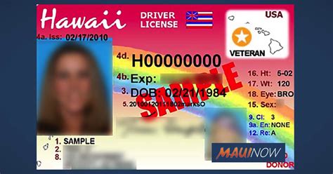 Hawaii Drivers License Permit Nsavisual