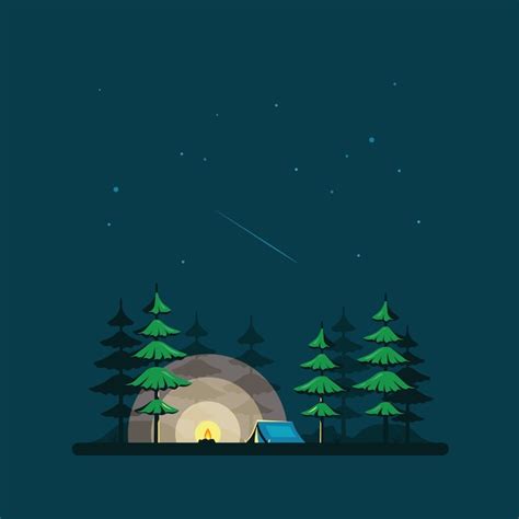 Premium Vector Night Landscape In Flat Style With Tent And Forest
