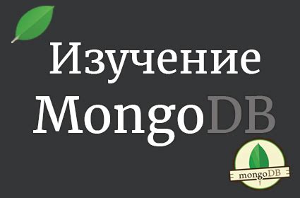 MongoDB уроки - курсы обучения для начинающих, основы Монго БД на itProger