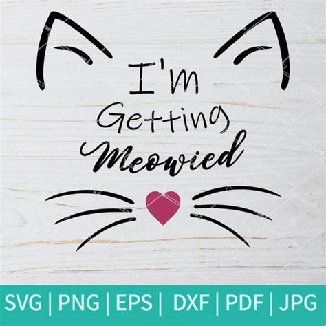 Im Getting Meowied Svg Funny Cat Svg