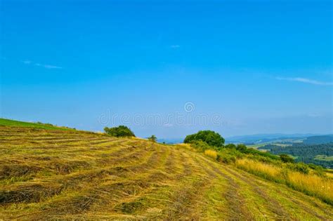 Beautiful Picturesque View Of The Slope Of Rural Fields In The