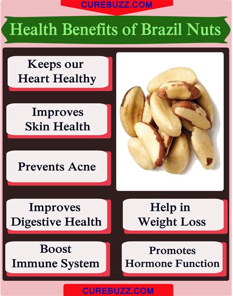 10 Health Benefits Of Brazil Nuts Curebuzz