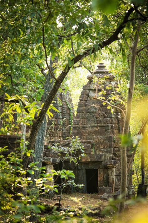 Wild India Step Into The Real Life Jungle Book In 2020 Jungle Temple
