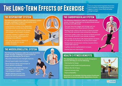 Amazon.com : The Long-Term Effects of Exercise | PE Posters | Gloss ...