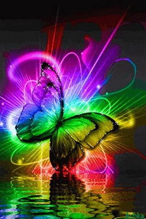 Beautiful Colors Of The Rainbow Butterfly Photos Butterfly