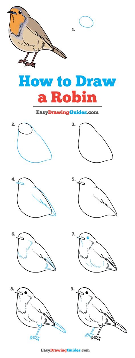 ★easy, simple follow along drawing lessons for kids or. How to Draw a Robin - Really Easy Drawing Tutorial