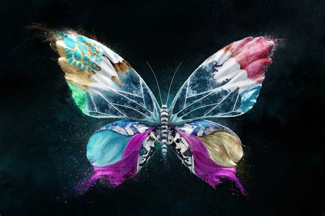 Colorful Butterfly Hd Wallpaper Background Image 3168x2112 Id