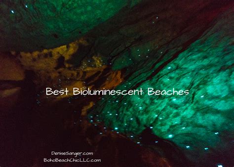 Experience The Beauty Of The Best Bioluminescent Beaches In Florida
