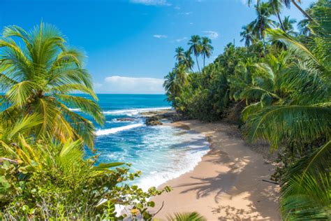 Costa Rica Caribbean Sidecoast Where To Vacation What To Do And More
