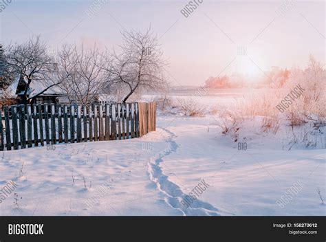 Winter Rural Landscape In Sunny Winter Weather Winter