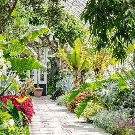 Whats Beautiful Now The Haupt Conservatory Reopened New York