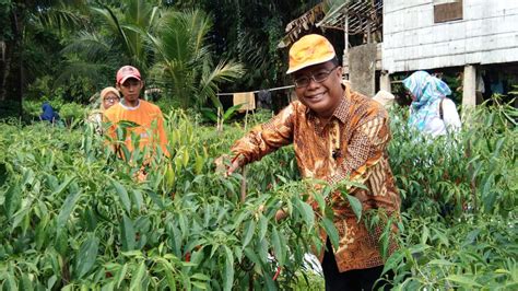 Lihat di sini untuk mendapatkan statistik penduduk di malaysia bagi tahun 2017. Hortikultura Penyumbang Terbesar Pertumbuhan Sektor ...