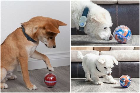 By encouraging your cat to exercise and providing mental; Pebby Smart Ball - Taking Interactive Pet Toys to the Next ...