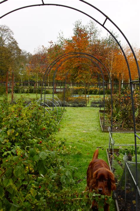 Managing An Organic Vegetable Garden - Part 2 - The Soil