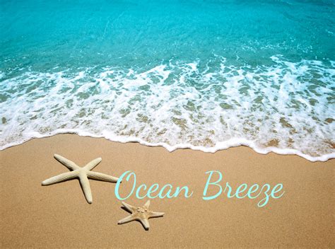 Ocean Breeze | Lilybeecandleco.