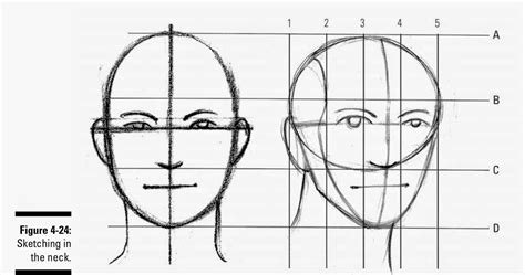 How to draw a face : Drawings: Parts of the Head