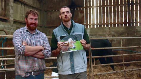 Bbc Scotland The Farm Jim And Donnie Get Boris The Bull ‘in The Mood
