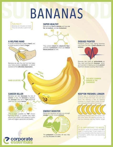 Nutritional Values Of Bananas Per 100g How Many Calories In A Banana