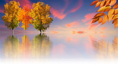 Autumn Tree Nature Golden · Free image on Pixabay