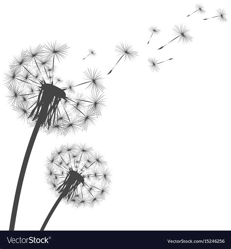Silhouette A Dandelion Royalty Free Vector Image