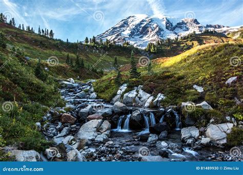 Mount Rainier Landscape Stock Photo Image Of View Snow 81489930