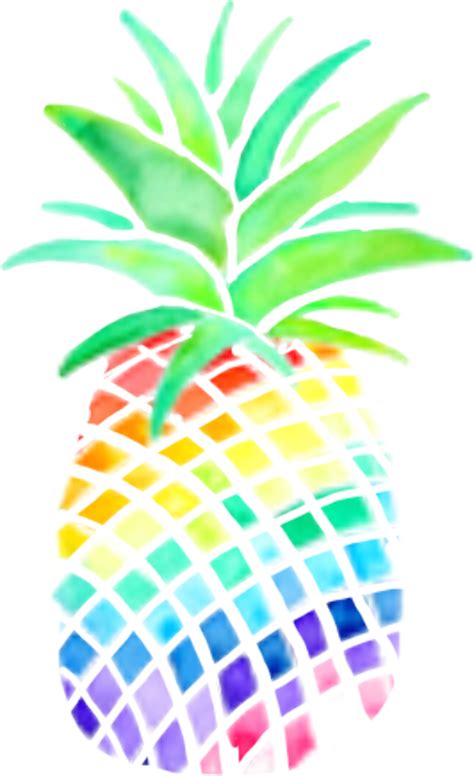 Download High Quality Pineapple Clipart Rainbow Transparent Png Images