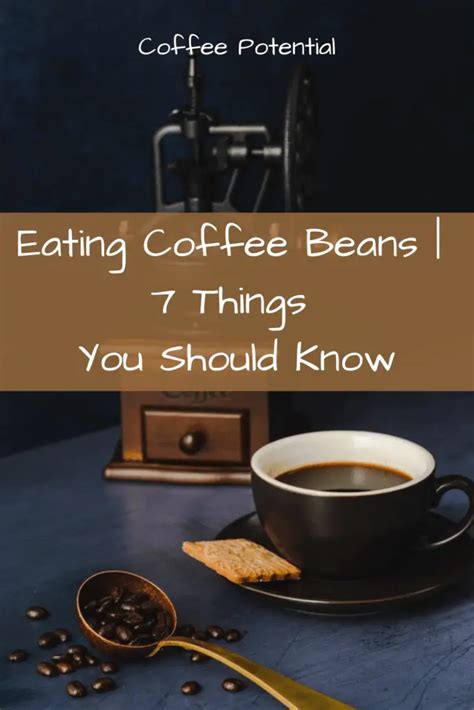 Eating Coffee Beans 7 Things You Should Know