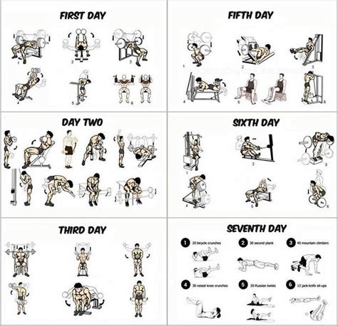 Gym Workout Program For Beginners Paperblog Weekly Workout Plans Weekly Workout Day