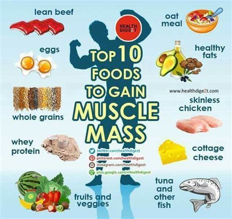 Fitness Top 10 Foods To Gain Muscle Mass Food To Gain Muscle Eating