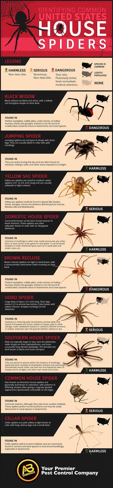 Identification Washington Spiders Chart