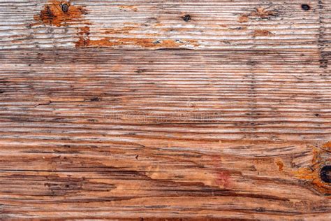 Oak Wood Plank Stock Image Image Of Grunge Pattern 164852865