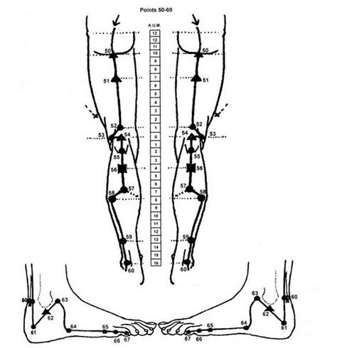 Chinese Meridians Acupressure Research Training And Treatment