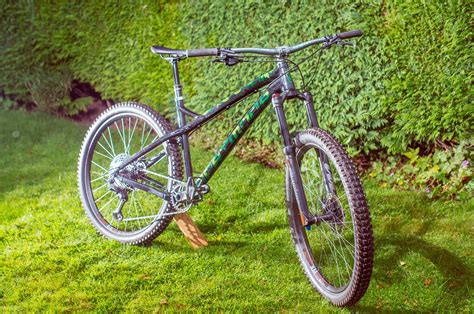 Custom Dartmoor Primal 2020 Browners Bike Check Vital Mtb
