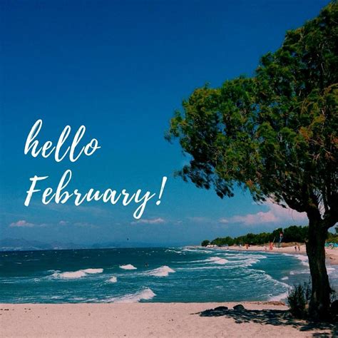 Hallo Februar Bitte Bringen Sie Den Sommer Mit🦋 Hello February Please
