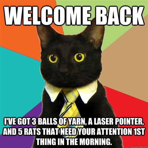 Welcome Back Cat Meme