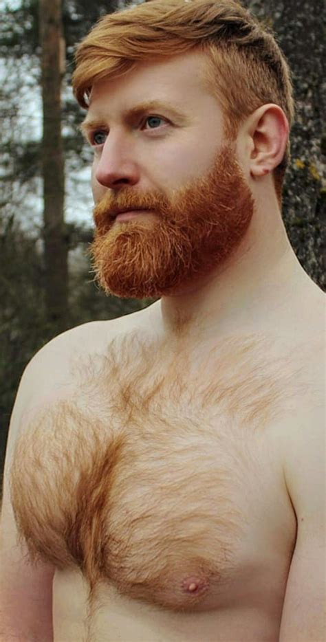Pin By M L On Ginger Male Beard And Mustache Styles Ginger Beard