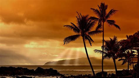 41 Hawaii Sunset Wallpapers Wallpapersafari